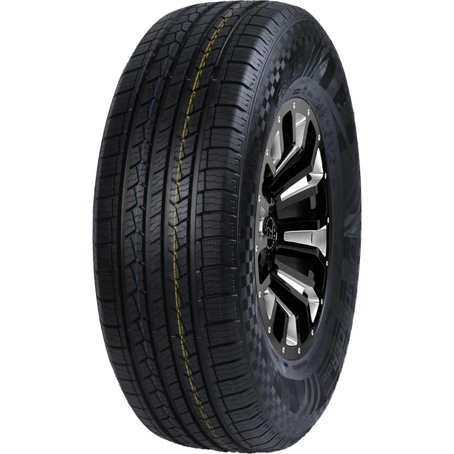 Double Star 235/60R16 100H DS01