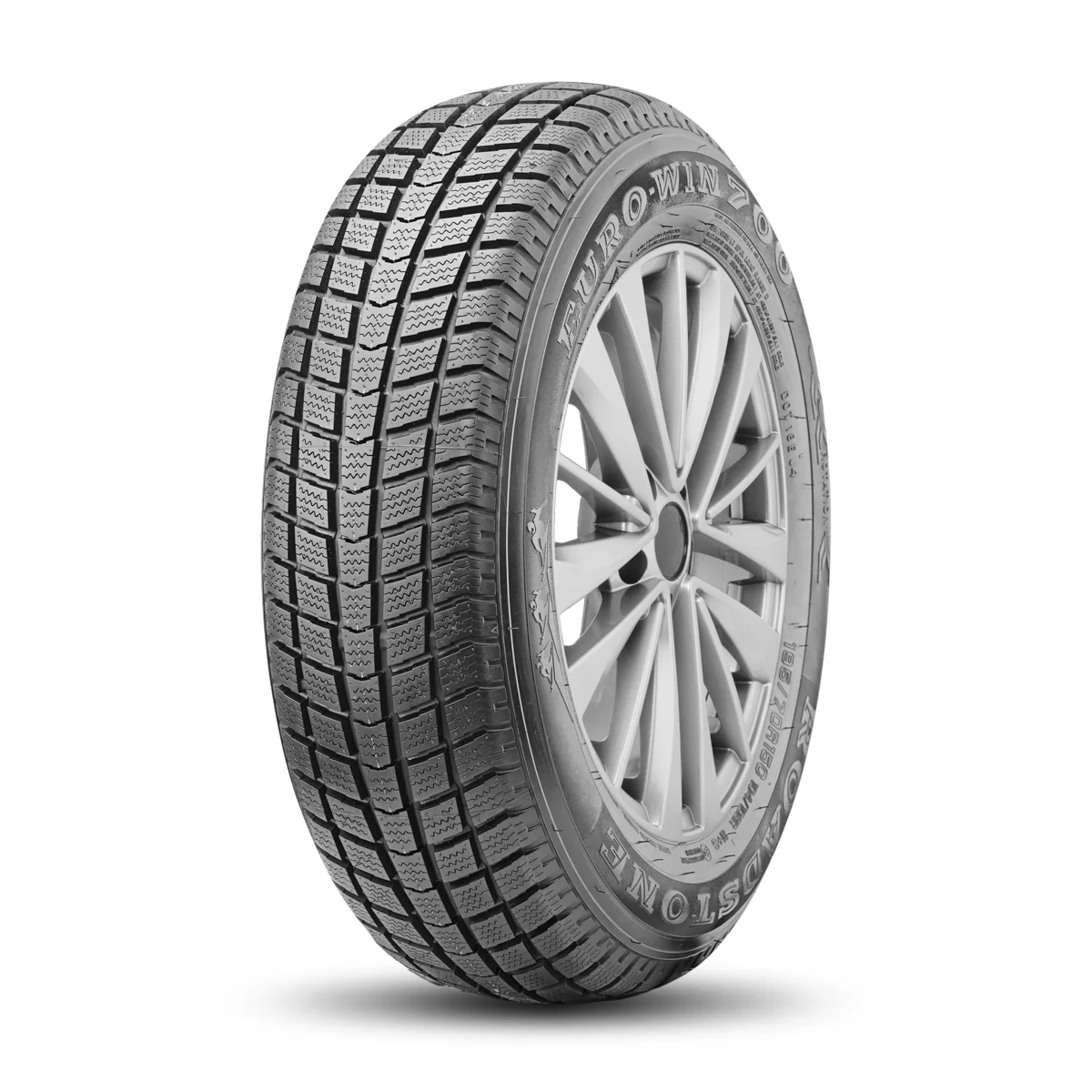 ROADSTONE 205/65R16C 107/105R (8PR) EURO WIN