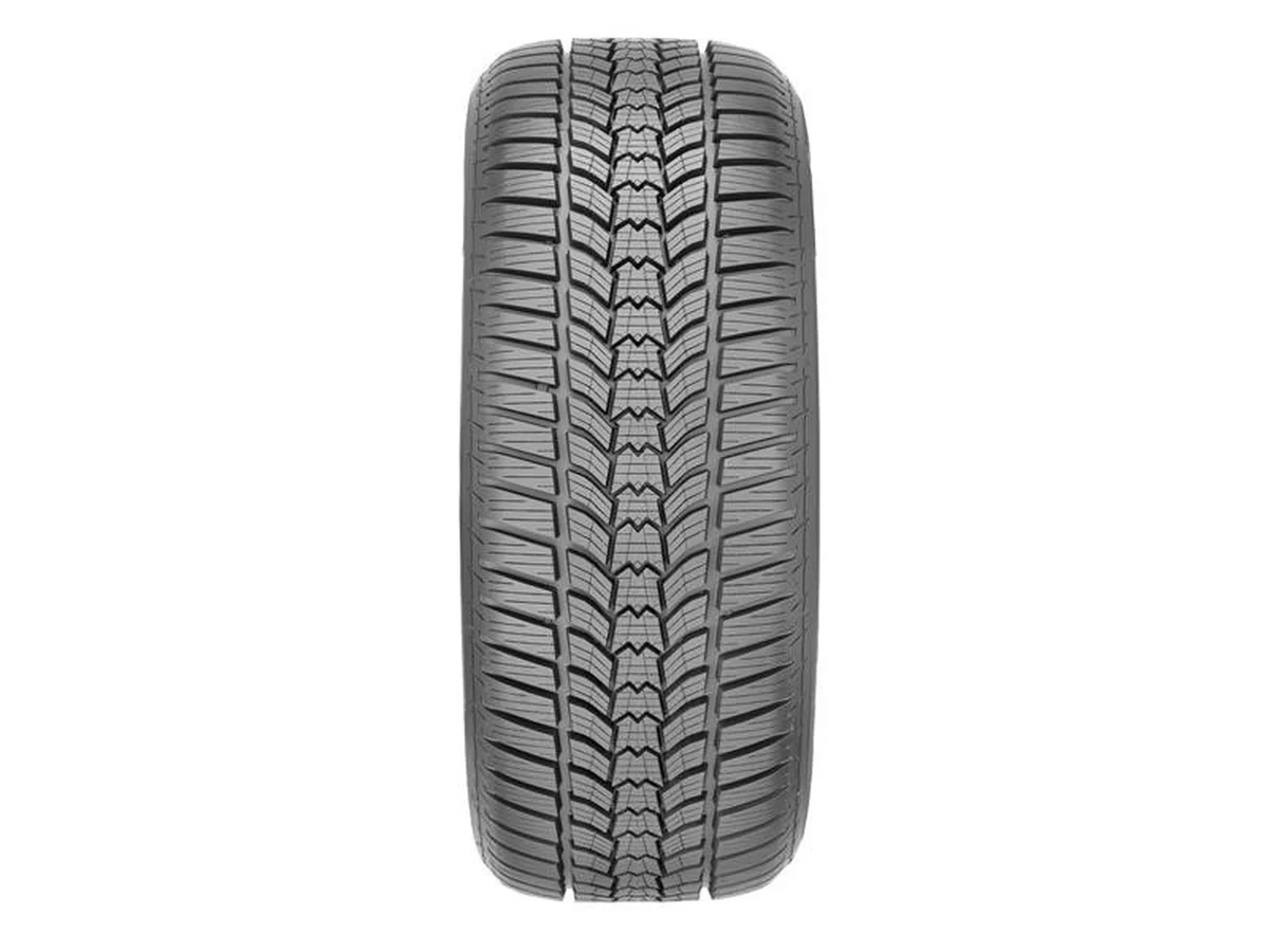 Sava 205/55R16 91H Eskimo HP 2