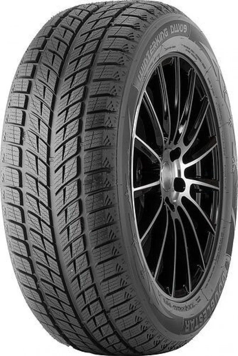 Double Star 255/50R20 109H DW09 XL