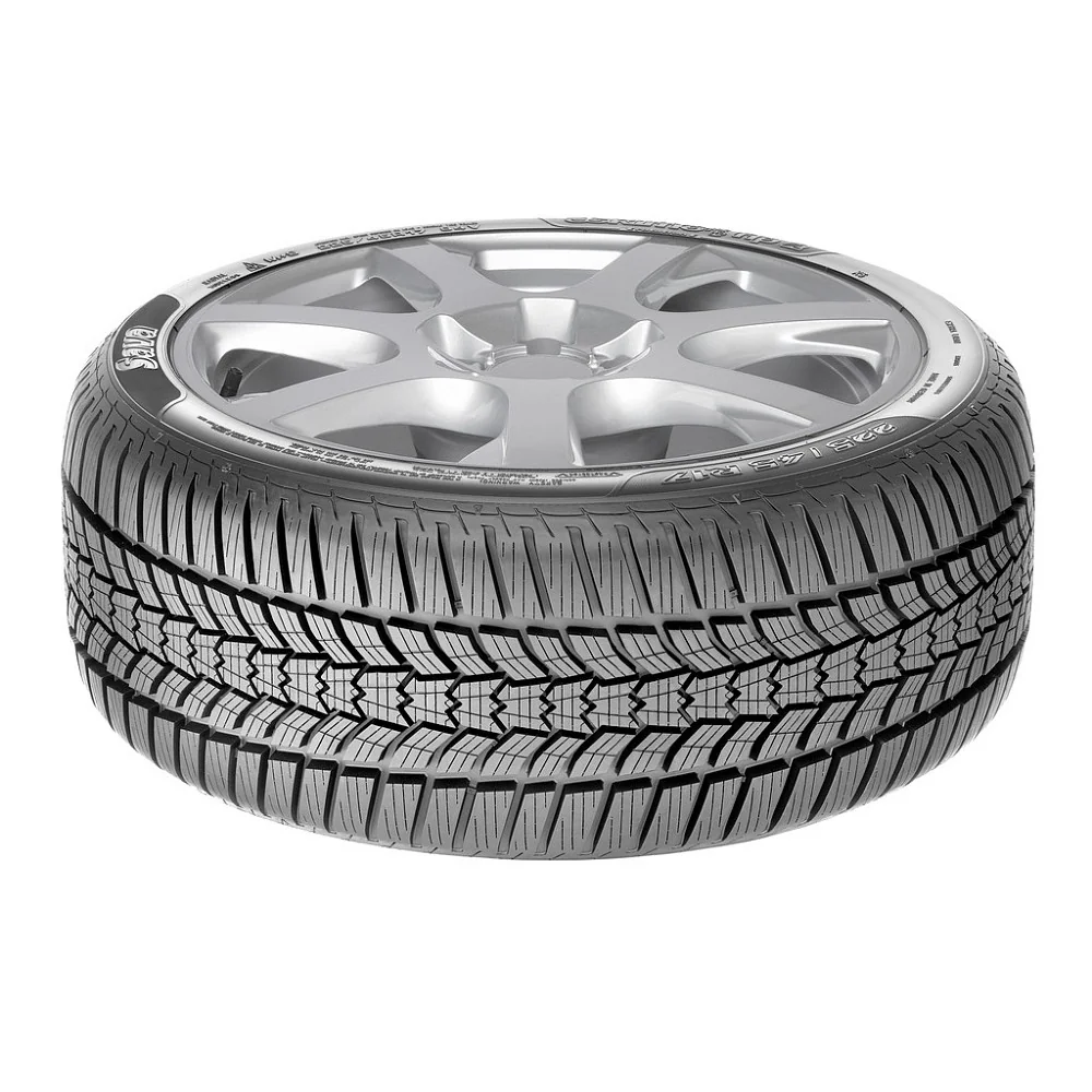 Sava 205/55R16 91H Eskimo HP 2